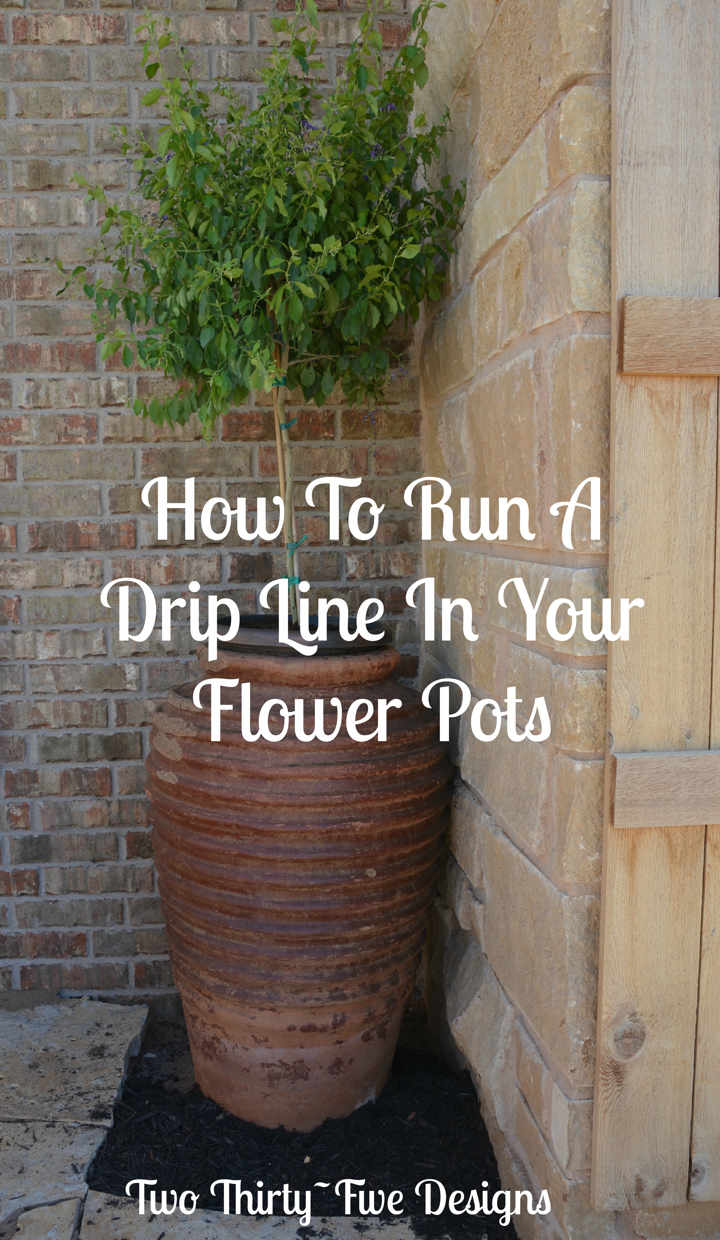 How To Run A Drip Line In Your Flower Pots