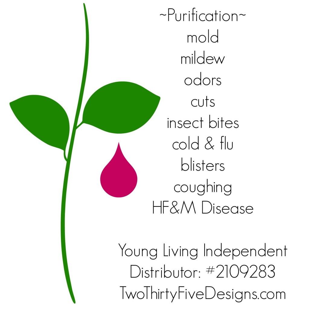 Purification Essential Oil Uses by Two Thirty~Five Designs
