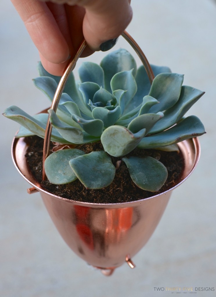 Copper Rain Chain Planter by Two Thirty~Five Designs