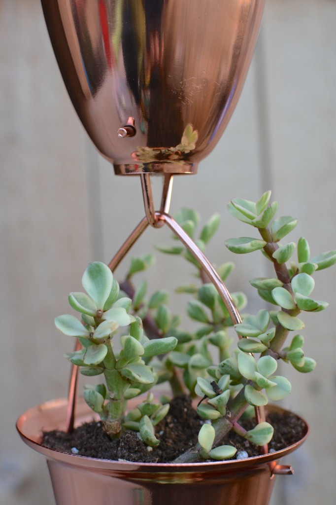 Copper Succulent by Two Thirty~Five Designs